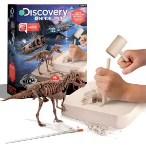 Kit paleontologo con scheletro T-Rex 3D